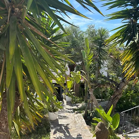 Buenavista & Bed & Breakfast